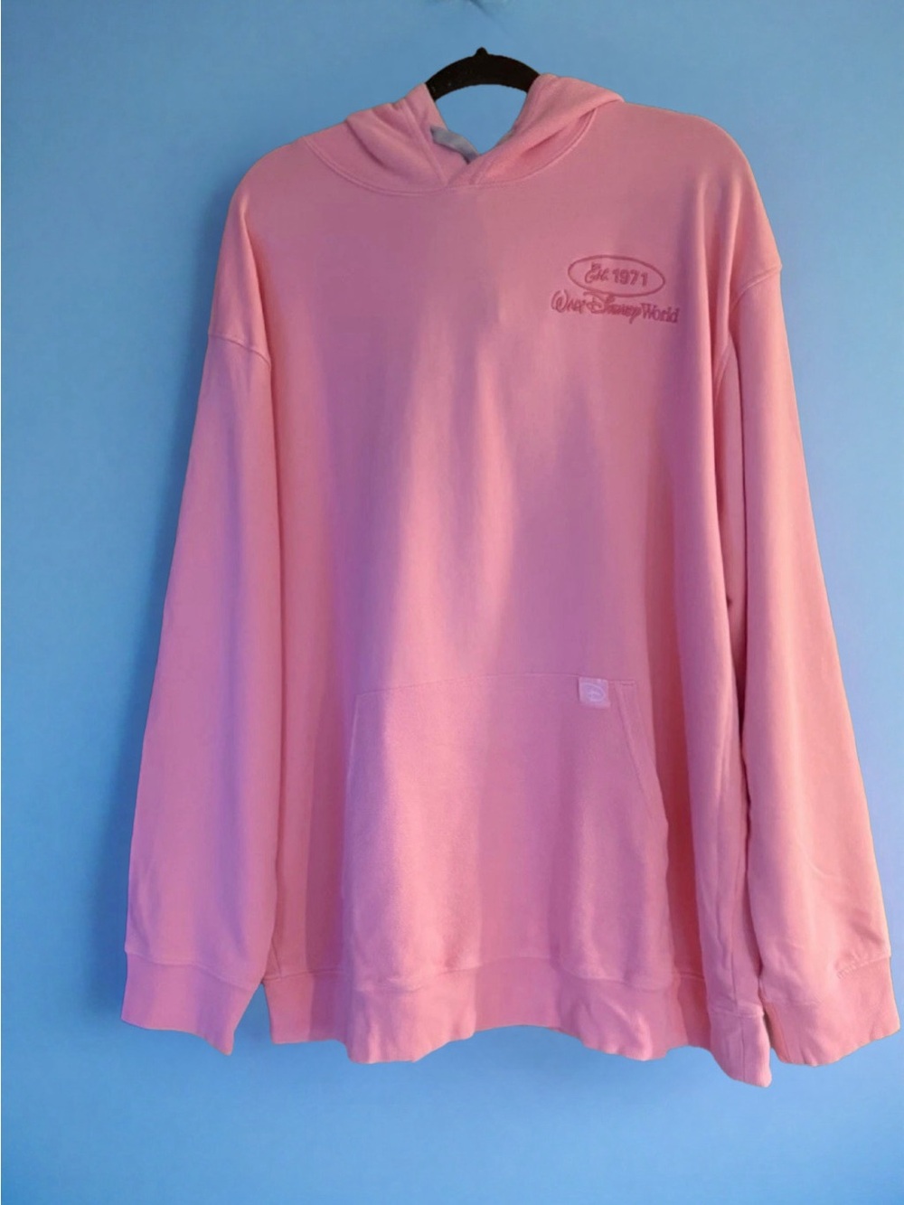 Disney Parks Walt Disney World Where Dreams Come True Pink Hoodie